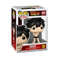 Fairy Tail 100 Years Quest Gray Funko Pop! Vinyl Figure #2287 Chase