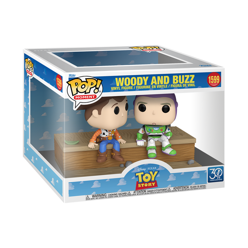Disney Toy Story: Woody & Buzz Funko Pop Moment! #1599